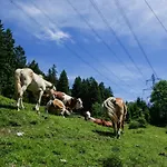 Pensjonat Haus Kohlberghof 3*
