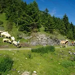 Haus Kohlberghof