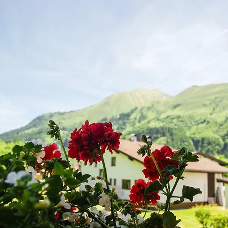 Haus Kohlberghof 3* 比荷巴赫