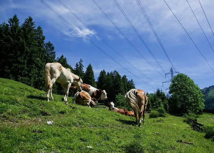 בית הארחה Haus Kohlberghof 3*