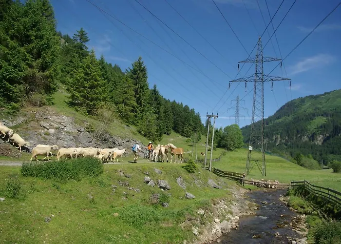 Haus Kohlberghof 比荷巴赫