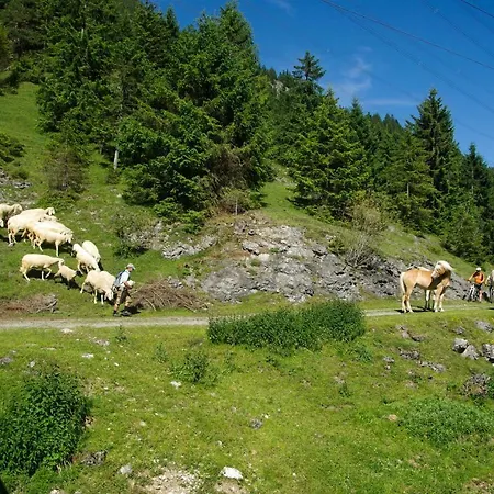 Haus Kohlberghof